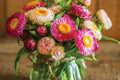 Tom Thumb Mix Strawflower Seeds - Dwarf Everlasting Blooms, Helichrysum bracteatum, 12-15" tall, Direct Sow