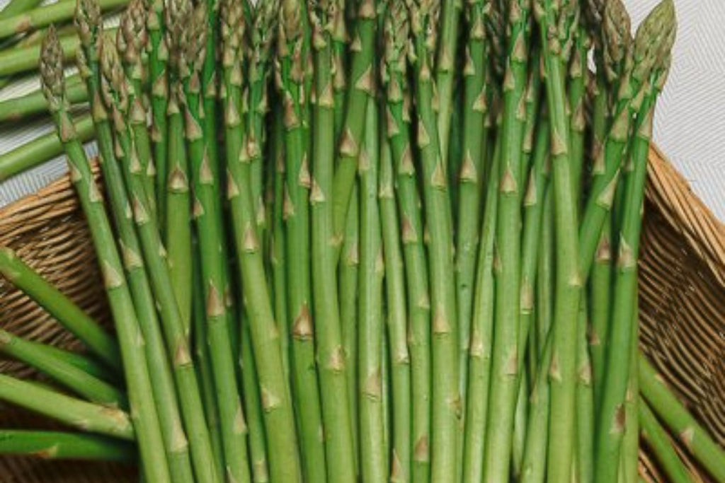 Asparagus Mary Washington Seeds - 1g Heirloom Non-GMO Perennial Vegetable