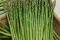 Asparagus Mary Washington Seeds - 1g Heirloom Non-GMO Perennial Vegetable