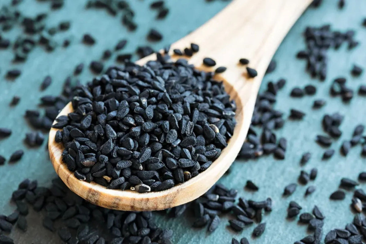 Nigella sativa Black Cumin Seeds - Heirloom, Culinary Herb, 8-12 Inches, Non-GMO