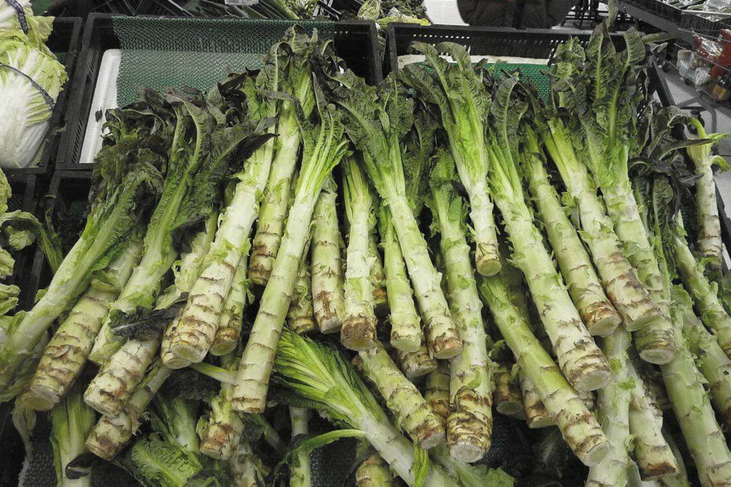 Asparagus Lettuce New Yu Mai Seeds (500mg) - Celtuce Heirloom, Non-GMO Asian Greens
