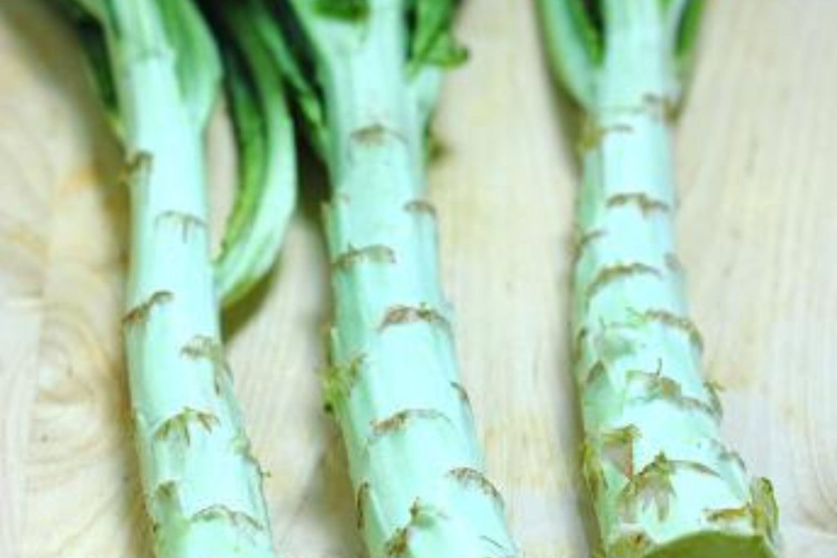 Asparagus Lettuce New Yu Mai Seeds (500mg) - Celtuce Heirloom, Non-GMO Asian Greens