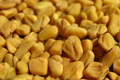 Fenugreek Seeds 50 Pack (Trigonella Foenum-Graecum) - Culinary Herb, Annual