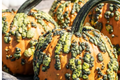 Goosebumps Pumpkin Seeds - 20 Seeds - F1 Hybrid Cucurbita pepo