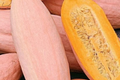 Pink Banana Squash Seeds - 20 Seeds (Cucurbita maxima) Giant Fall/Winter Squash