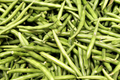 Asparagus Bean Seeds - Yard Long Red-Seeded (Vigna unguiculata subsp. sesquipedalis) - 20 Seeds