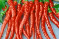 Red Dragon Cayenne Pepper Starter Plants | 3 High-Yield Capsicum annuum
