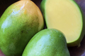 Grafted Mango Keitt Starter Plant Seedling - 3-4 ft Live Tropical Fruit Tree