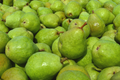 Joey Red Flesh Pear Tree Cuttings (Unrooted Scions) for Grafting