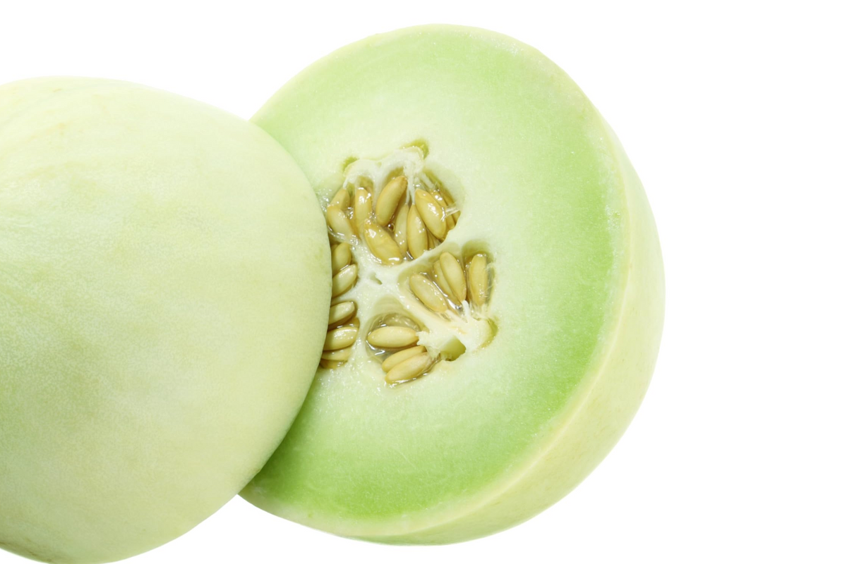 100 Green Flesh Honeydew Melon Seeds - Non-GMO, 105 Days to Maturity