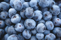 200 Highbush Blueberry Seeds – Self-Fertile, Disease-Resistant (Zones 3-9)