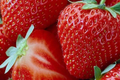 AC Wendy Strawberry Plants (25 Bare Root) – June-Bearing, Large Sweet Berries