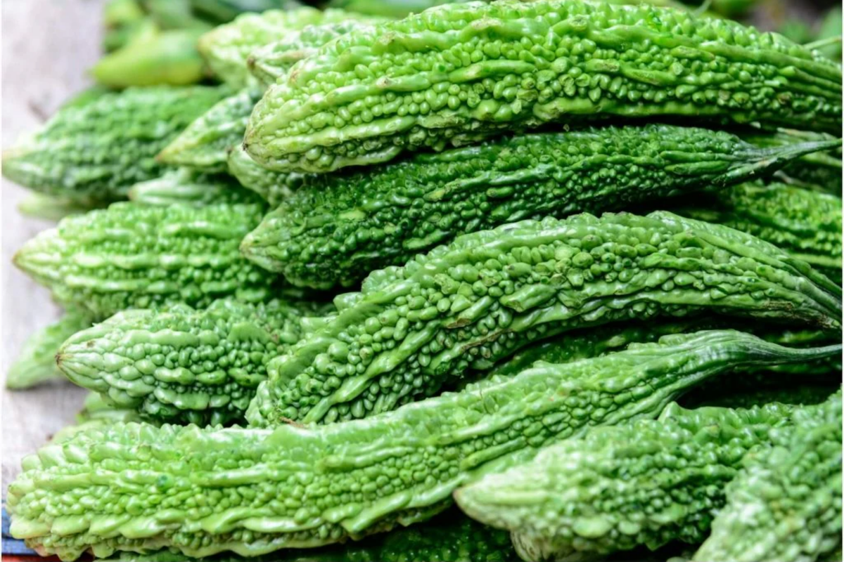 Bitter Melon Seeds (15pc) - Heirloom Bitter Gourd, Green Skin, Fast-Growing Vine