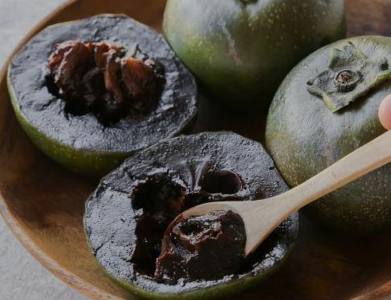 Black Sapote Tree | 1 Gal Pot | Chocolate Pudding Fruit | Diospyros digyna | 10-16 Inch Plant - Limited Availability