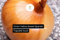 200 Yellow Spanish Sweet Onion Seeds – Allium cepa – Heirloom, Large & Mild, High-Yielding, Perfect for Cooking
