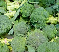 2000 Bulk Broccoli Seeds for Microgreens, Sprouts, or Planting (Brassica oleracea) – Non-GMO