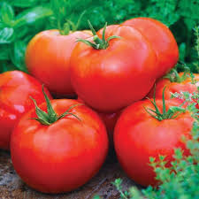 Ace 55 Tomato Seeds (100 mg) - Heirloom Solanum lycopersicum, Low-Acid Red for Slicing & Cooking