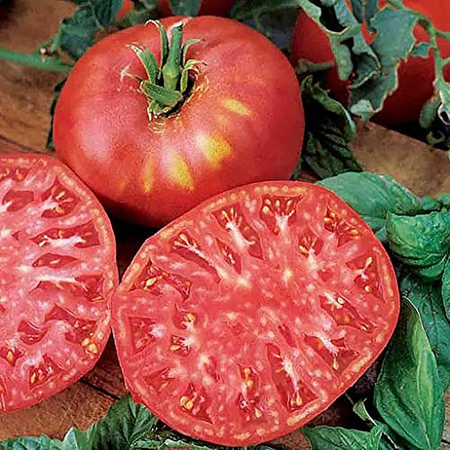 Pink Brandywine Tomato Seeds - Heirloom Solanum lycopersicum, 30 Seeds