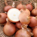 Sweet Spanish Colorado #6 Onion Seeds (250 mg) - Allium cepa
