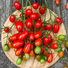 San Marzano Tomato Seeds (100 mg) - Heirloom Solanum lycopersicum for Paste & Sauce