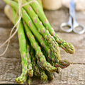 10 Jersey Knight Live Asparagus Bare Root Crowns - 2-Year-Old, High-Yield Perennial