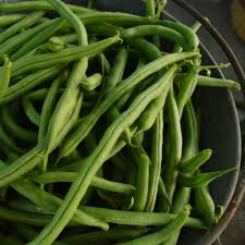 100 Jade Bush Green Bean Seeds (Phaseolus vulgaris) – Bulk, High Yield, Non-GMO