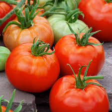 Tomato Ace 55 Seeds – Heirloom, Low-Acid, High-Yield (100mg) – Solanum lycopersicum