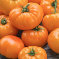 Amana Orange Tomato Seeds - Heirloom Beefsteak, Indeterminate, 80-90 Days