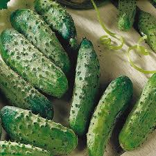 Cucumber National Pickling Seeds – 1g Heirloom, High Yield, Disease-Resistant