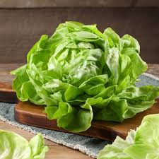 1000 Summer Bibb Lettuce Seeds - Heirloom, Non-GMO, Heat-Tolerant