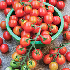 Tomato Red Cherry Seeds – Heirloom, Sweet Small Tomatoes, 100mg for Planting