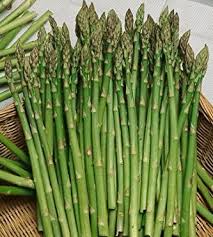 Asparagus Mary Washington Seeds - 40 Seeds | Asparagus officinalis Heirloom