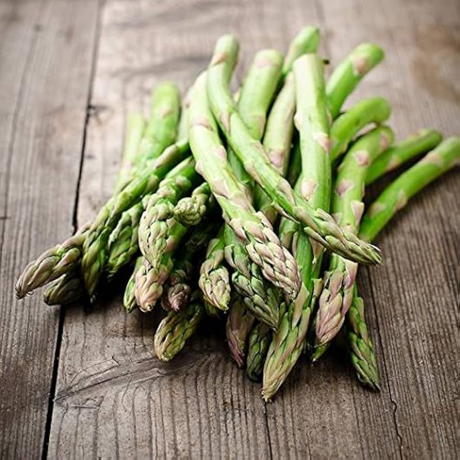 Asparagus Mary Washington Seeds - Asparagus officinalis (1 g) Heirloom Perennial