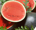 Sugar Baby Watermelon Seeds (Citrullus lanatus) - 25 Seeds, Icebox Variety