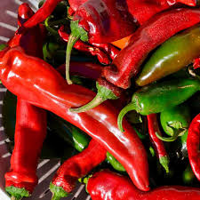 New Mexico Sandia Pepper Seeds - Capsicum annuum, Mild/Medium Heat, Heirloom, Non-GMO, for Roasting & Drying