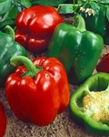 Sweet Pepper Yolo Wonder Bell Seeds - Heirloom, 300mg, High Yield, Heat-Tolerant