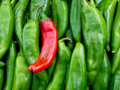 Sonora Mild Hot Pepper Seeds - Capsicum annuum, 250mg, Non-GMO Heirloom