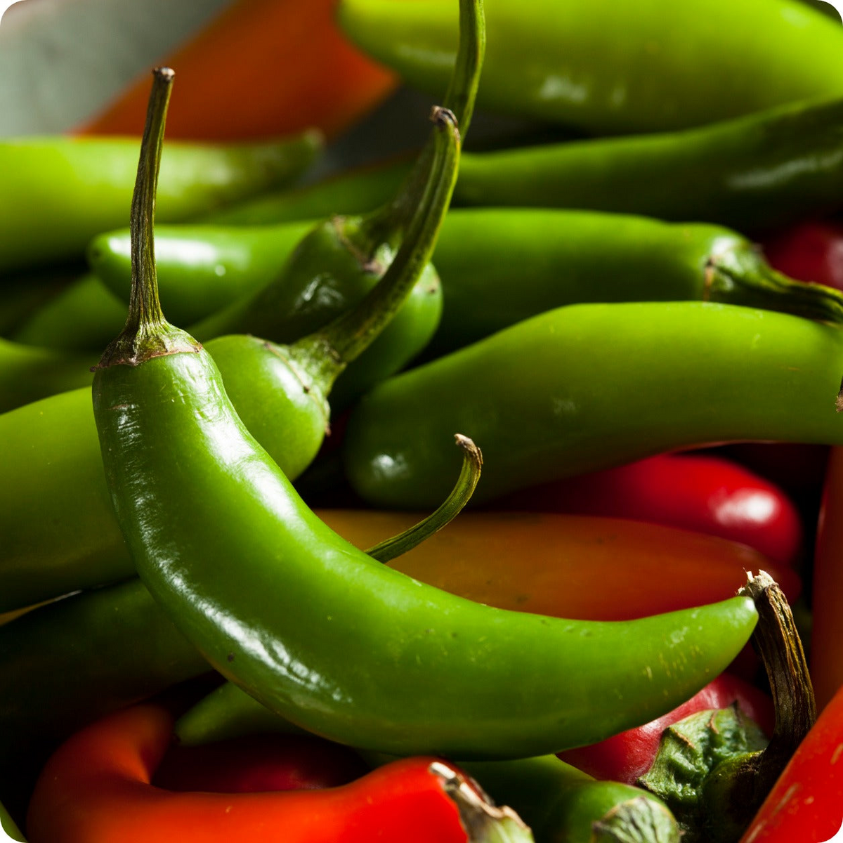 Serrano Pepper Seeds - Capsicum annuum, Spicy Heirloom (30 Seeds)