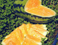Orangeglo Watermelon Seeds - Heirloom, Non-GMO | 20-30 lb Orange-Flesh Melon | 90 Days