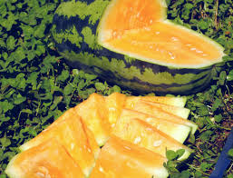 Orangeglo Watermelon Seeds - Heirloom, Non-GMO | 20-30 lb Orange-Flesh Melon | 90 Days