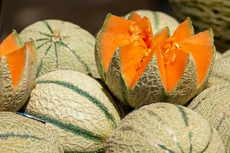 Charentais Melon Seeds - Heirloom, Non-GMO, 85 Days to Maturity