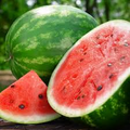 Crimson Sweet Watermelon Seeds - 2 Grams (Citrullus lanatus) Heirloom