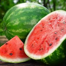 Crimson Sweet Watermelon Seeds - 2 Grams (Citrullus lanatus) Heirloom