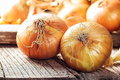 100 Seeds Walla Walla Sweet Onion - Allium cepa, Large Mild Onions