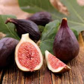 Violette de Bordeaux Fig Seeds - Ficus carica Fresh Dark Figs Seed Pack (100+ Seeds)