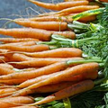Little Fingers Carrot Seeds - Daucus carota Heirloom Mini Baby Carrots (300 Seeds)
