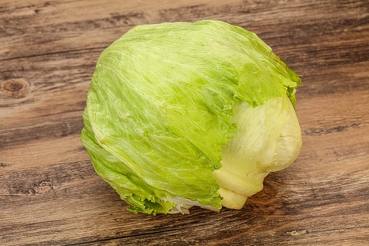 Iceberg Lettuce Seeds (Lactuca sativa) - 1000 Seeds, High-Yield, Non-GMO