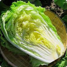 Chinese Cabbage Kogane Seeds - 500mg Heirloom, Fast-Growing, Cold-Hardy