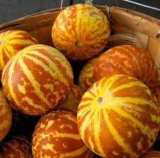 Tigger Melon Seeds (Cucumis melo) – Heirloom, Striped Skin, Fragrant White Flesh, 10 Seeds