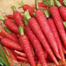 Atomic Red Carrot Seeds (Daucus carota) - 150 Seed Pack